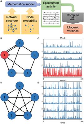 The Role of Excitability and Network Structure in the Emergence of Focal and Generalized Seizures